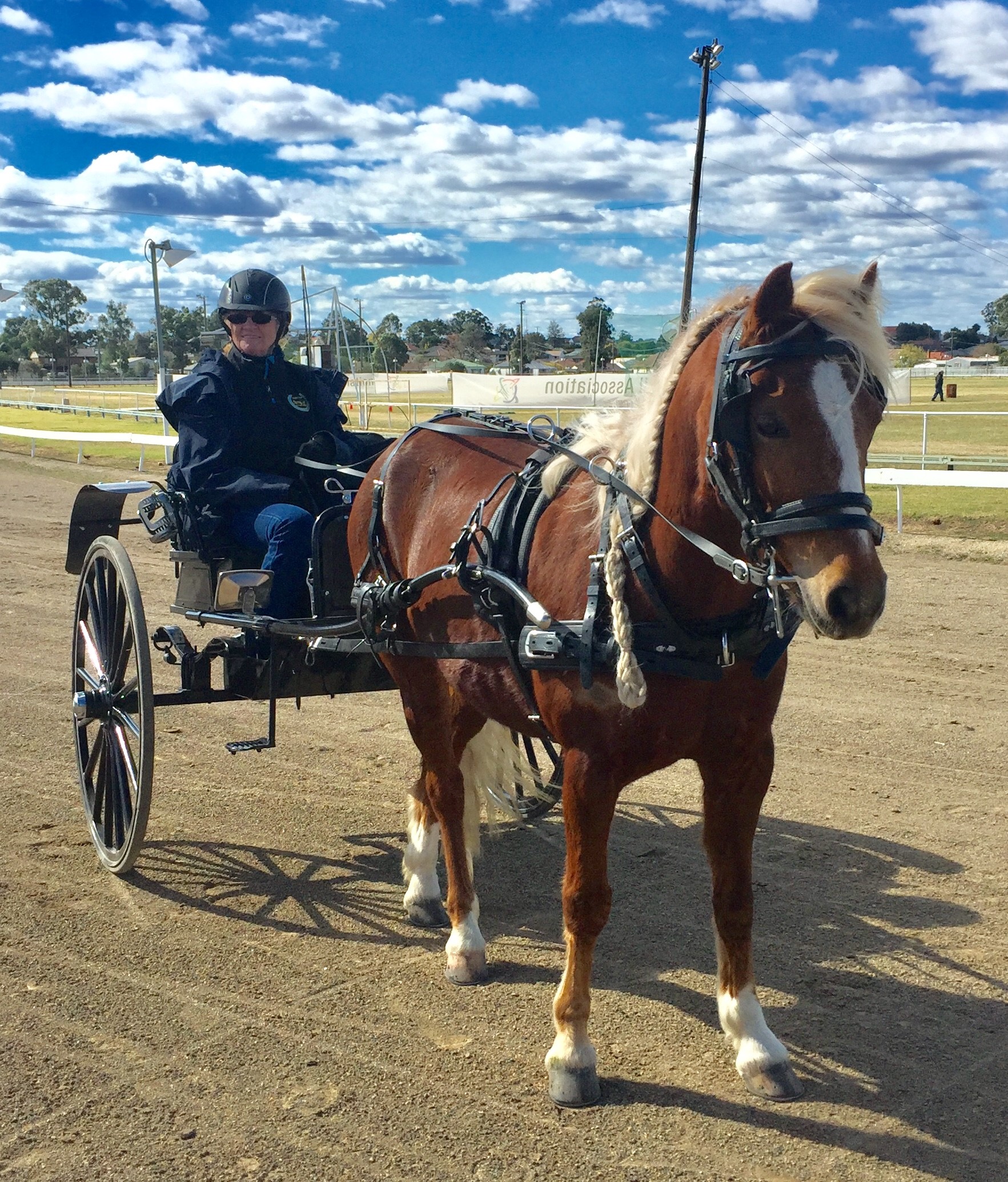 Horse Profiles | RDA Raymond Terrace Riding For The Disabled Horse Profiles