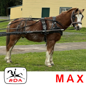 Horse Profiles | RDA Raymond Terrace Riding For The Disabled Horse Profiles