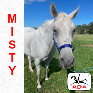 Horse Profiles | RDA Raymond Terrace Riding For The Disabled Horse Profiles